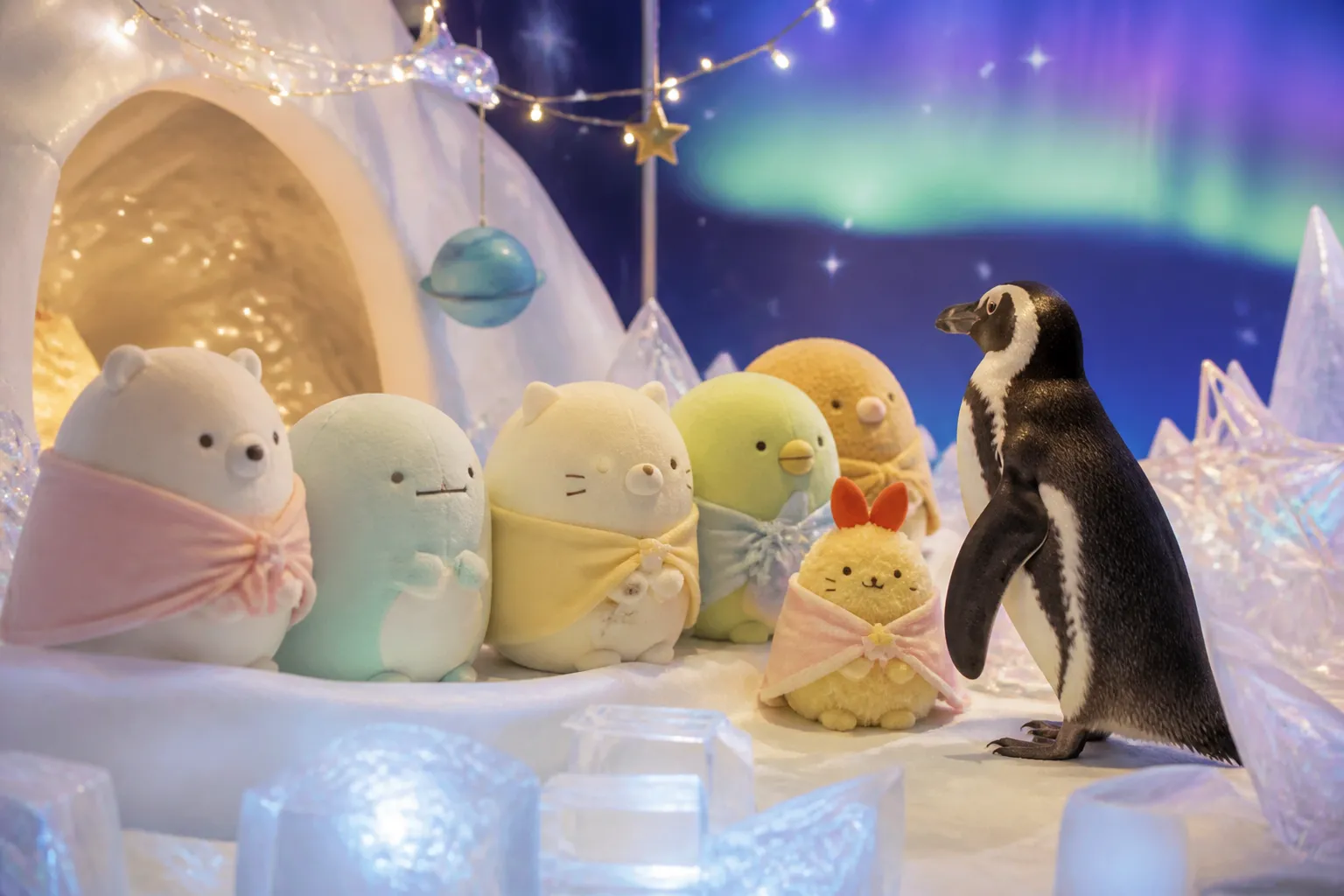 すみっコぐらし ひろい宇宙とオーロラのひかり（平日）